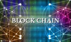 如何解决Tokenim不显示代币