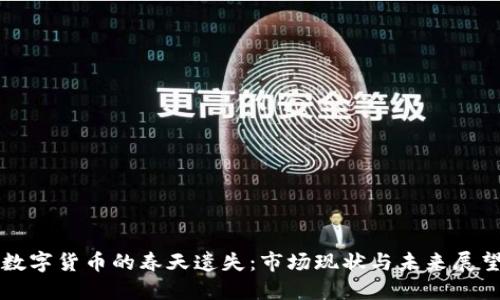 数字货币的春天遗失:市场现状与未来展望