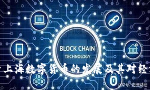 深入探索上海数字货币的发展及其对经济的影响