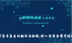 数字货币未来的挑战与机