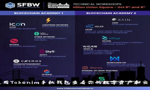 如何使用Tokenim手机钱包查看你的数字资产和交易记录