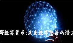 韩国露娜数字货币：未来