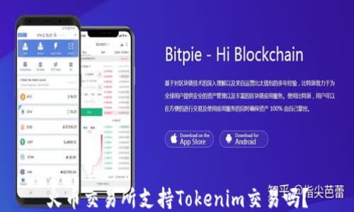 火币交易所支持Tokenim交易吗?