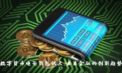 数字货币电子钱包试点:未来金融的创新趋势