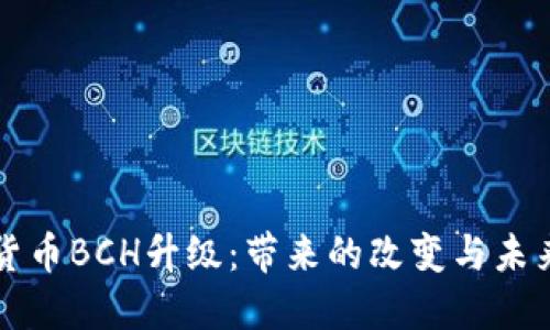 数字货币BCH升级：带来的改变与未来展望