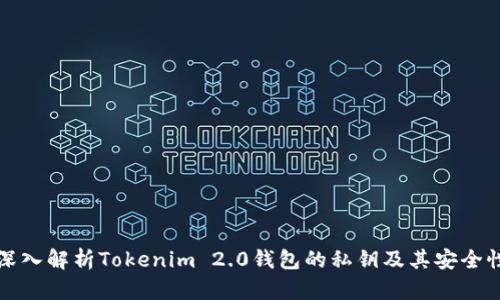 深入解析Tokenim 2.0钱包的私钥及其安全性