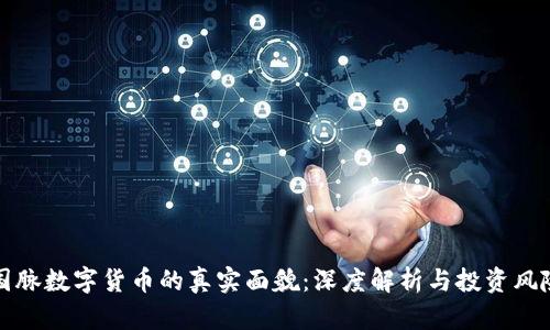 国脉数字货币的真实面貌:深度解析与投资风险