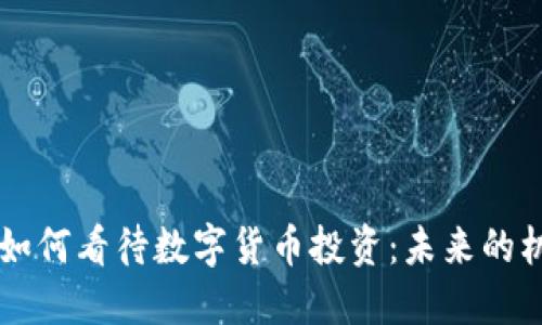 高瓴基金如何看待数字货币投资:未来的机遇与挑战
