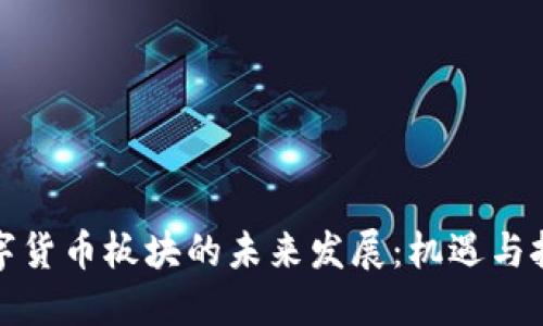 数字货币板块的未来发展:机遇与挑战