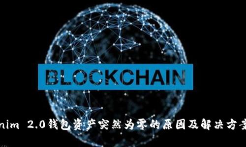 Tokenim 2.0钱包资产突然为零的原因及解决方案解析
