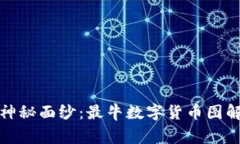 揭开数字货币的神秘面纱