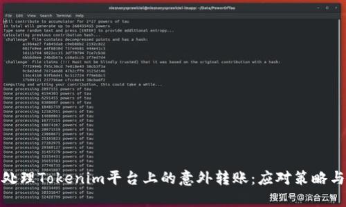 如何处理Tokenim平台上的意外转账：应对策略与建议