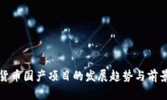 数字货币国产项目的发展