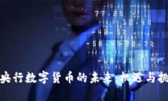 : 央行数字货币的未来：机