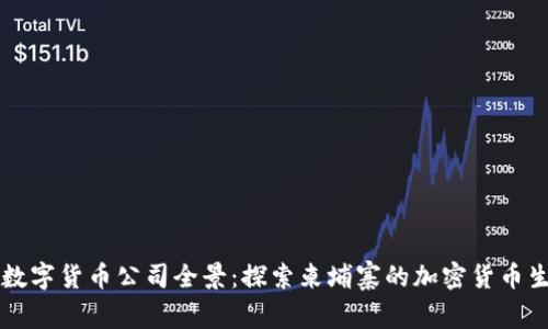 柬埔寨数字货币公司全景:探索柬埔寨的加密货币生态系统