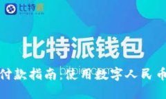 建行数字货币付款指南：