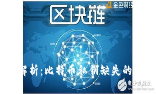 Tokenim 2.0 解析:比特币私钥缺失的影响和应对策略