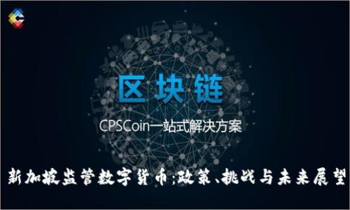 新加坡监管数字货币:政策、挑战与未来展望