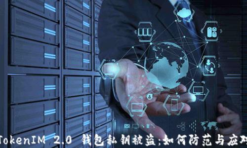 
TokenIM 2.0 钱包私钥被盗：如何防范与应对