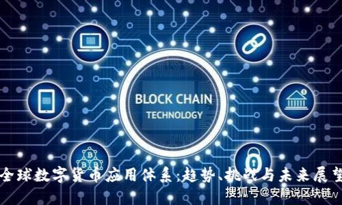 全球数字货币应用体系:趋势、挑战与未来展望