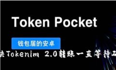 : 如何解决Tokenim 2.0转账一