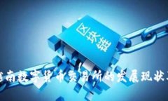 全面解析越南数字货币交