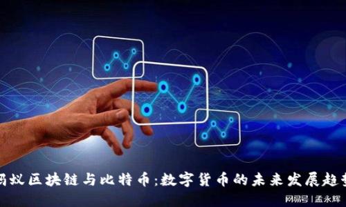 蚂蚁区块链与比特币:数字货币的未来发展趋势