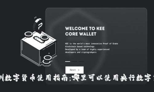 深圳数字货币使用指南:哪里可以使用央行数字货币