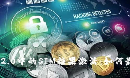 全面解读Tokenim 2.0中的SIM糖果激活：如何最大化你的投资价值