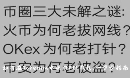 如何在Tokenim中操作FIL钱包:一步步指南