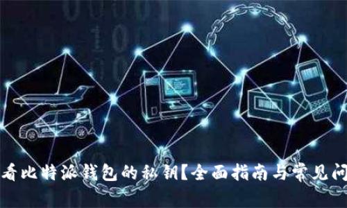 如何查看比特派钱包的私钥?全面指南与常见问题解答