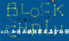 韩国数字货币Flash：加速区