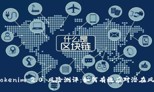 : Tokenim 2.0 风险测评：如何有效应对潜在风险？