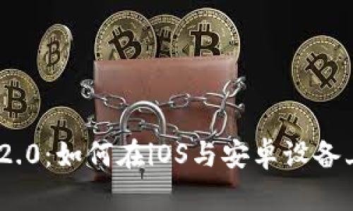 Tokenim 2.0:如何在iOS与安卓设备上顺利登录