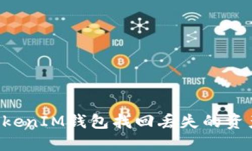 如何通过TokenIM钱包找回丢失的资产:详细指南
