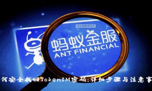如何安全找回TokenIM密码：详细步骤与注意事项