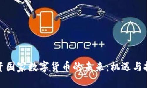 投资国家数字货币的未来:机遇与挑战