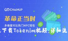 如何高效下载Tokenim视频：