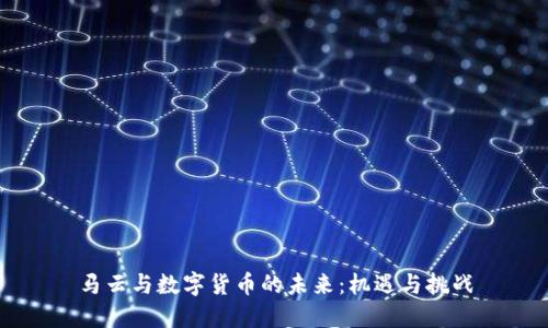 马云与数字货币的未来:机遇与挑战
