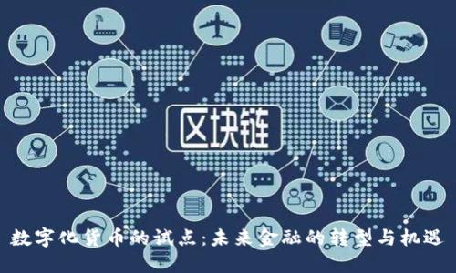 数字化货币的试点:未来金融的转型与机遇