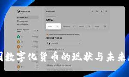 全国数字化货币的现状与未来展望