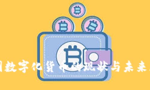 全国数字化货币的现状与未来展望