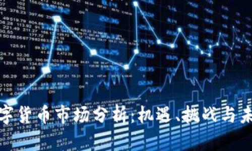 全球数字货币市场分析：机遇、挑战与未来趋势