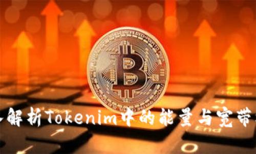 深入解析Tokenim中的能量与宽带机制
