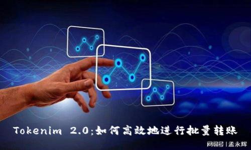 Tokenim 2.0:如何高效地进行批量转账
