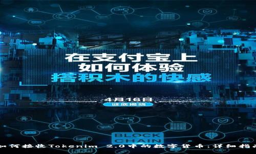 如何接收Tokenim 2.0中的数字货币:详细指南