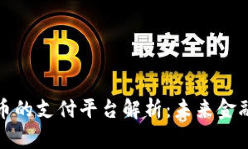 数字货币的支付平台解析:未来金融的核心