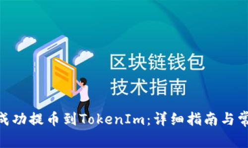 如何将BCH成功提币到TokenIm:详细指南与常见问题解答