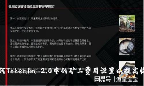 如何Tokenim 2.0中的矿工费用设置以提高收益