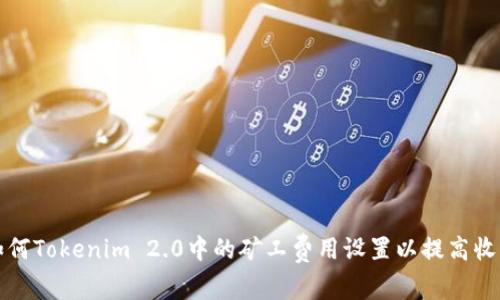 如何Tokenim 2.0中的矿工费用设置以提高收益